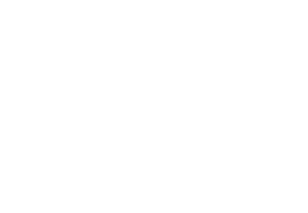 texas home medical logo, white